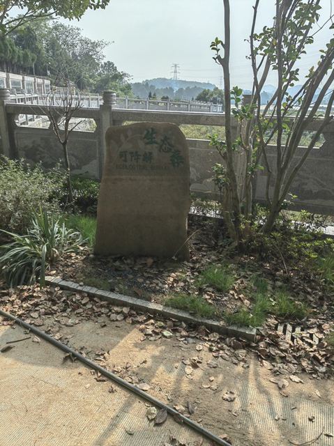 镇海大同公墓（大同生命文化）官方墓区/墓型实景