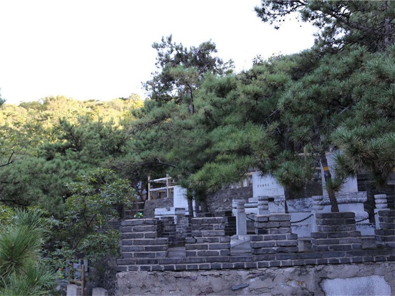 金山陵园官方墓区/墓型实景