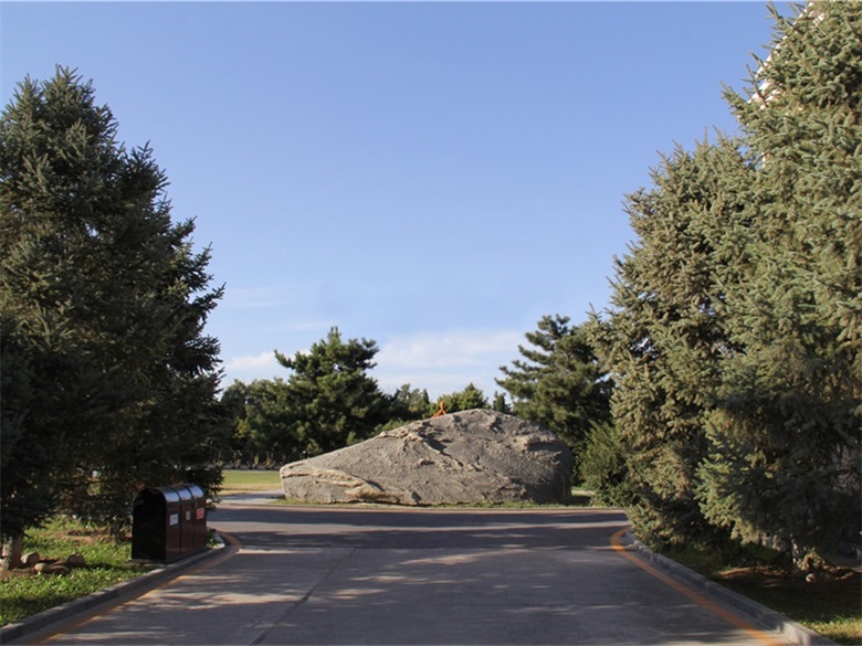 天慈墓园官方墓区/墓型实景