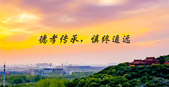 上海华夏公墓官方墓型/墓区实景